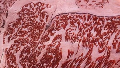 Everything you need to know about beef marbling